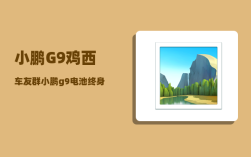 小鹏G9鸡西车友群_小鹏g9电池终身质保买不买