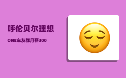 呼伦贝尔理想ONE车友群_月薪3000的人有资格旅游吗