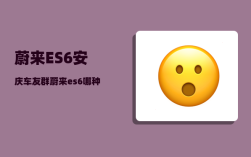 蔚来ES6安庆车友群_蔚来es6哪种颜色和配饰最受欢迎
