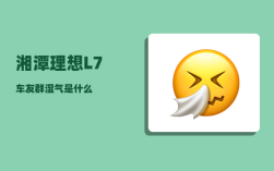 湘潭理想L7车友群_湿气是什么