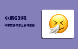 小鹏G3i杭州车友群_你怎么看待自动驾驶汽车的前景