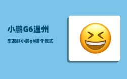 小鹏G6温州车友群_小鹏g6哪个模式最省电
