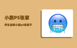 小鹏P5张家界车友群_小鹏p5销量不火爆的原因