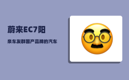 蔚来EC7阳泉车友群_国产品牌的汽车到底哪个品牌实力最强