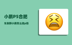 小鹏P5合肥车友群_小鹏怎么挂p挡