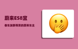 蔚来ES8宜春车友群_尊贵的蔚来车主欢迎语
