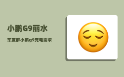 小鹏G9丽水车友群_小鹏g9充电需求电压
