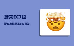 蔚来EC7拉萨车友群_蔚来ec7首发版跟普通版