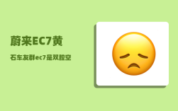 蔚来EC7黄石车友群_ec7是双腔空气悬挂吗