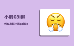 小鹏G3i柳州车友群_小鹏g3i有ngp功能吗