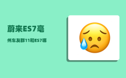 蔚来ES7亳州车友群_11和ES7哪个配置好