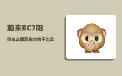 蔚来EC7阳泉车友群_蔚来为啥不出单电机
