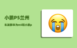 小鹏P5兰州车友群_华为m5和小鹏p5哪个值得买