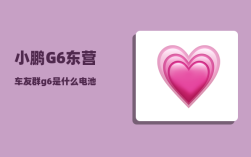 小鹏G6东营车友群_g6是什么电池