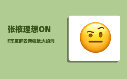 张掖理想ONE车友群_去新疆玩大约消费多钱