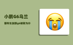 小鹏G6乌兰察布车友群_g6被称为什么