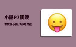 小鹏P7铜陵车友群_小鹏p7静电带挂哪儿