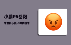 小鹏P5岳阳车友群_小鹏p5电动尾门常见故障