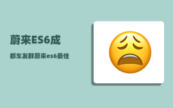 蔚来ES6成都车友群_蔚来es6要安装防虫网吗