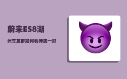 蔚来ES8湖州车友群_如何看待美一好公司创始人林文钦驾驶蔚来ES8汽车启用自动驾驶功能后