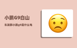 小鹏G9白山车友群_小鹏g9是什么电池可以用几年