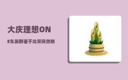 大庆理想ONE车友群_鉴于北京突然新增肺炎患者
