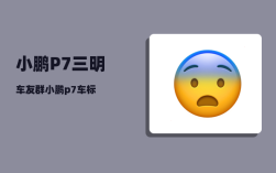 小鹏P7三明车友群_小鹏p7如何开启ngp和lcc