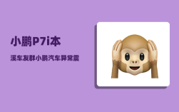 小鹏P7i本溪车友群_小鹏汽车异常震动