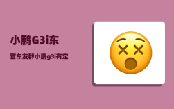 小鹏G3i东营车友群_小鹏g3i有定位功能吗