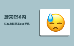 蔚来ES6内江车友群_蔚来es6手机操控有哪些功能