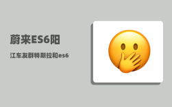 蔚来ES6阳江车友群_特斯拉和es6哪个值得买