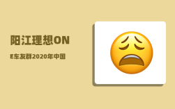 阳江理想ONE车友群_2020年中国有哪些马拉松