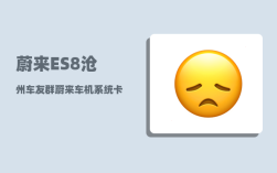 蔚来ES8沧州车友群_蔚来车机系统卡怎么办