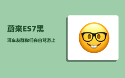 蔚来ES7黑河车友群_你们在自驾游上花了多少钱