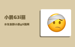 小鹏G3i丽水车友群_小鹏g3i跑网约车选哪个配置好