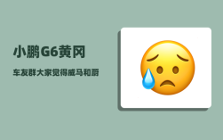 小鹏G6黄冈车友群_大家觉得威马和蔚来哪个更有前景