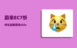 蔚来EC7忻州车友群_蔚来sirius是什么车型