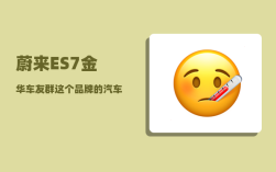 蔚来ES7金华车友群_这个品牌的汽车品质如何