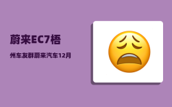 蔚来EC7梧州车友群_蔚来汽车12月销量