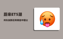 蔚来ET5潮州车友群_还有哪些中国公司在争霸全球