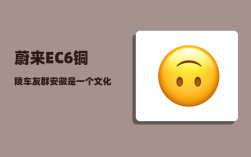 蔚来EC6铜陵车友群_安徽是一个文化组成较为复杂的省份