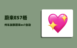 蔚来ES7梧州车友群_蔚来es7自动驾驶会超车吗