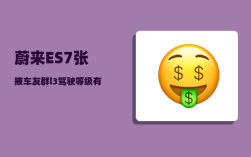 蔚来ES7张掖车友群_l3驾驶等级有什么车