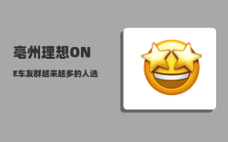 亳州理想ONE车友群_越来越多的人选择自驾游