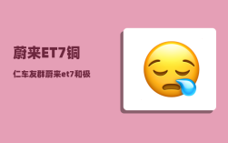 蔚来ET7铜仁车友群_蔚来et7和极氪001哪个好