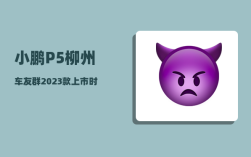 小鹏P5柳州车友群_2023款上市时间