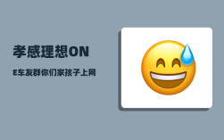 孝感理想ONE车友群_你们家孩子上网课时是什么样子的