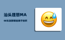 汕头理想MAGE车友群_哪些牌子的积木比较适合9个月孩子玩