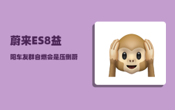 蔚来ES8益阳车友群_自燃会是压倒蔚来的最后一根稻草吗