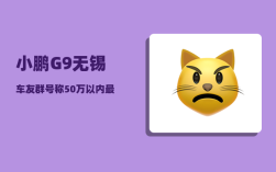 小鹏G9无锡车友群_号称50万以内最好的SUV小鹏G9现状如何吗